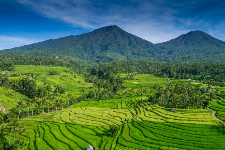 Breathtaking Jatiluwih: Bali’s Stunning UNESCO World Heritage Site